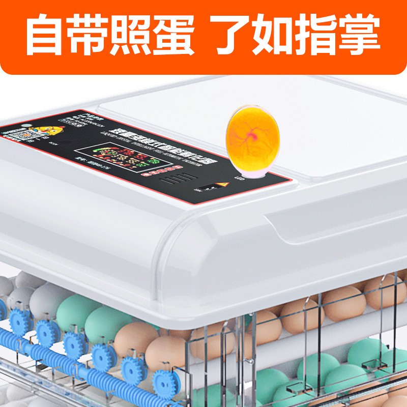 定制家用孵化器小型孵化箱智能全自动孵化机跨境迷你鸡蛋孵蛋器图2