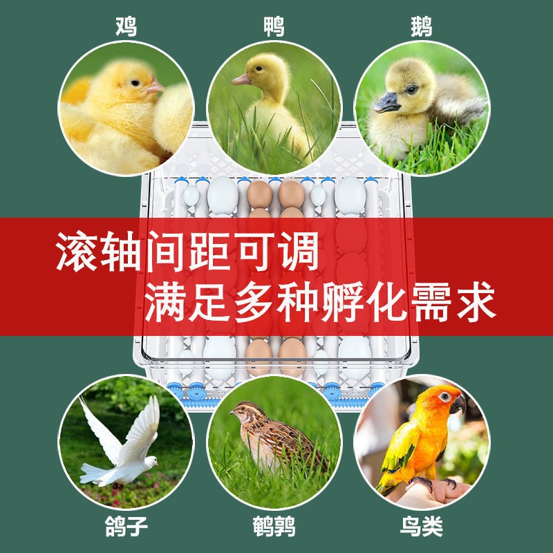 定制家用孵化器小型孵化箱智能全自动孵化机跨境迷你鸡蛋孵蛋器图5