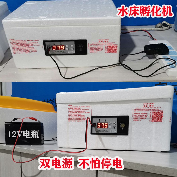 全自动仿生水床孵化机家用小型智能孵蛋器鸡鸭鹅迷你孵化箱图5