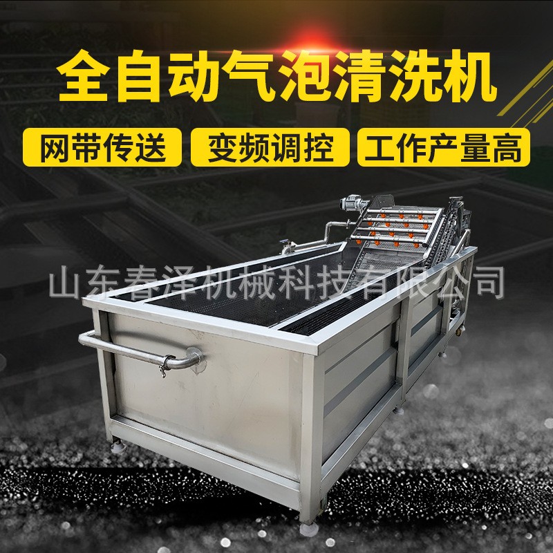 大叶类蔬菜气泡清洗机 海鲜高压气泡清洗机 现货销售图3