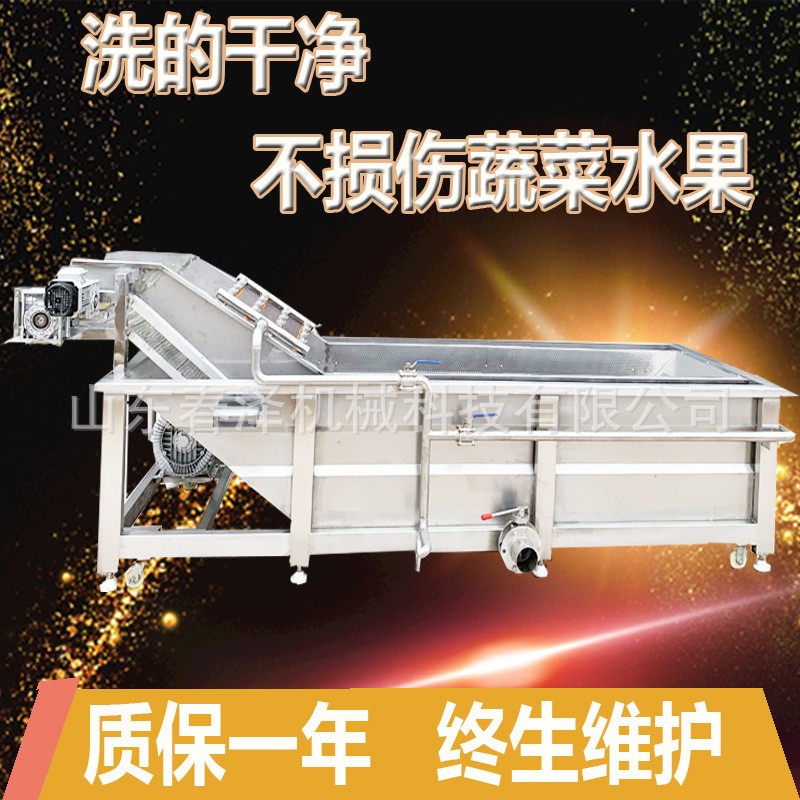 大叶类蔬菜气泡清洗机 海鲜高压气泡清洗机 现货销售图5