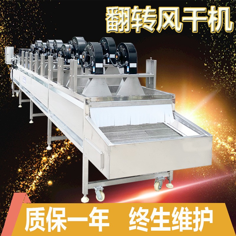 娃娃菜低温去水珠翻转风干机 小白菜网带传送全自动风干机不锈钢图3