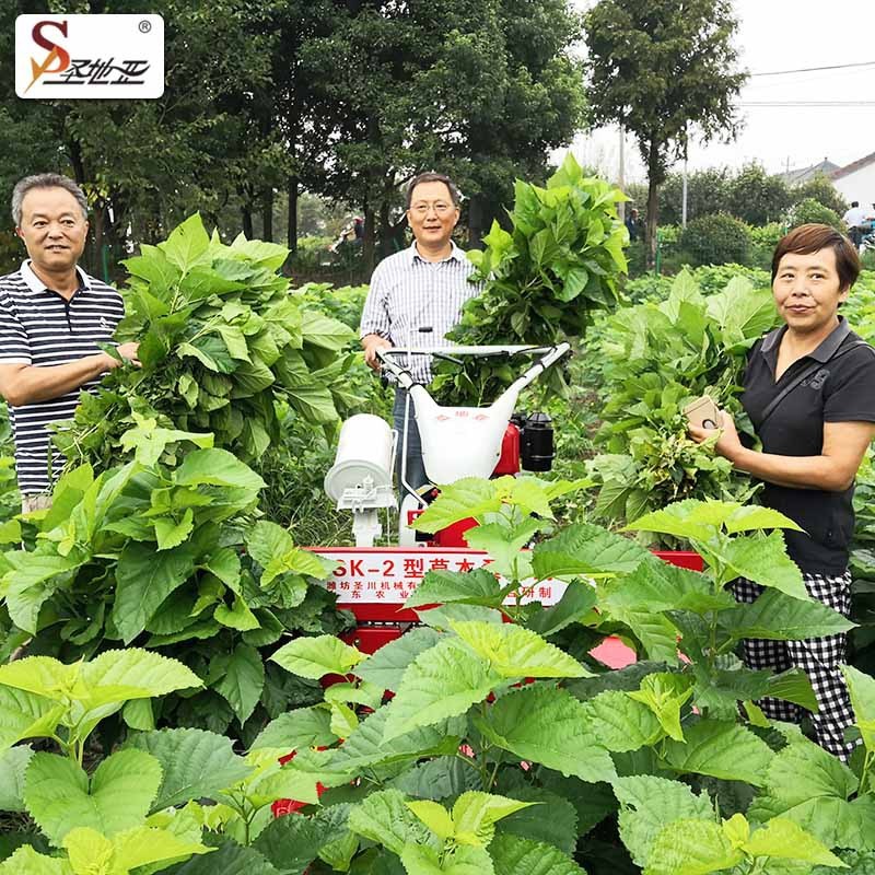 大宽幅收割打捆一体机 草本桑割捆机 手扶柴汽油草本桑割捆机图4