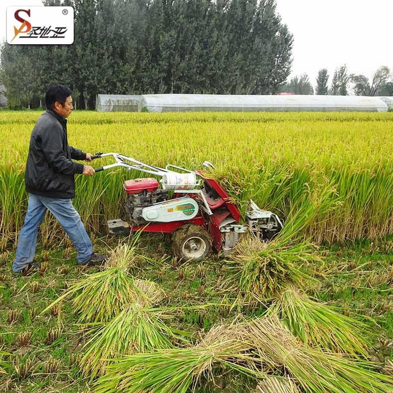 厂家现货4K-50割捆机 手推式苞米秸秆放倒机 黄豆稻麦割捆机图4