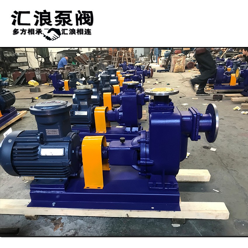 汇浪泵阀 ZW ZX 无堵塞污水泵 分体直连式自吸泵 50ZX18-20-2.2图3