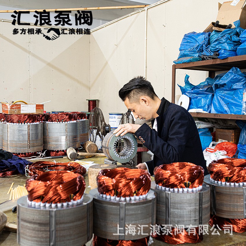 WL立式切割排污泵 干式切割抽水泵 耐腐蚀不锈钢污水污物泵 岸上图3