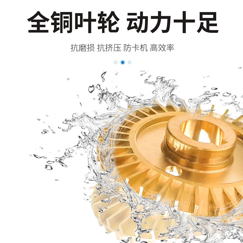 新款电动车户外农用浇灌菜水井抽水泵 12V24V48V不锈钢直流自吸泵图2