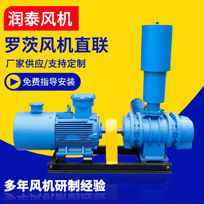 厂家供应 罗茨鼓风机 直联三叶罗茨鼓风机三叶罗茨风机 支持定制图2
