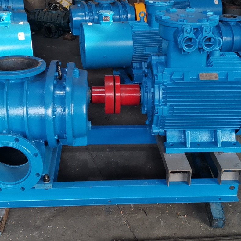 厂家直销供应 罗茨鼓风机 3L200WC直联罗茨风机水产养殖 支持定制图5