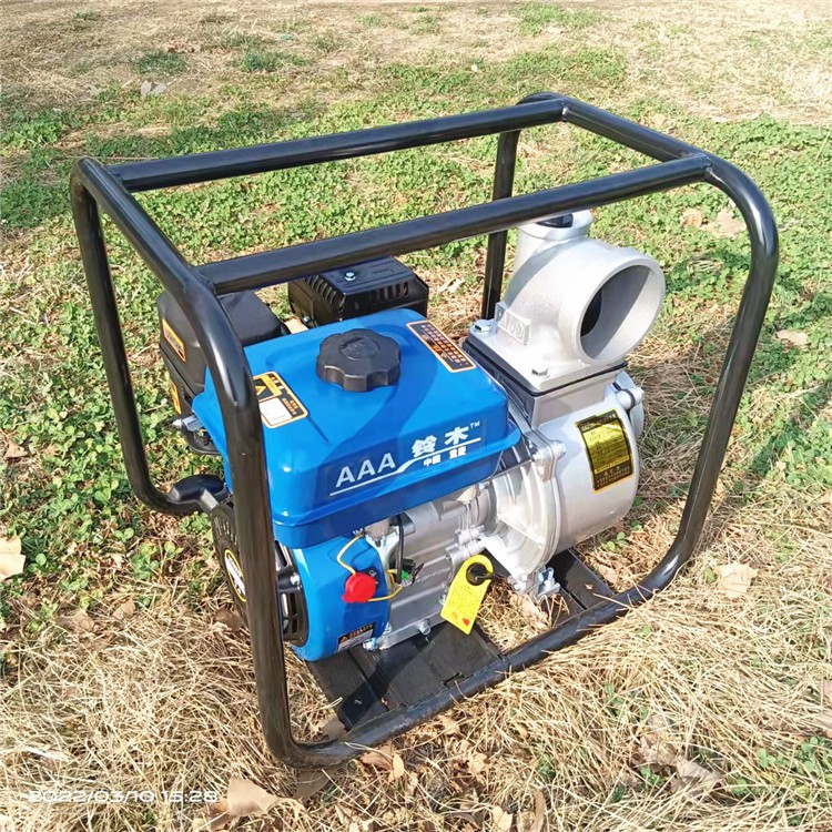 农田浇地灌溉泵 汽油高压抽水泵 手推式风冷柴油自吸泵图2