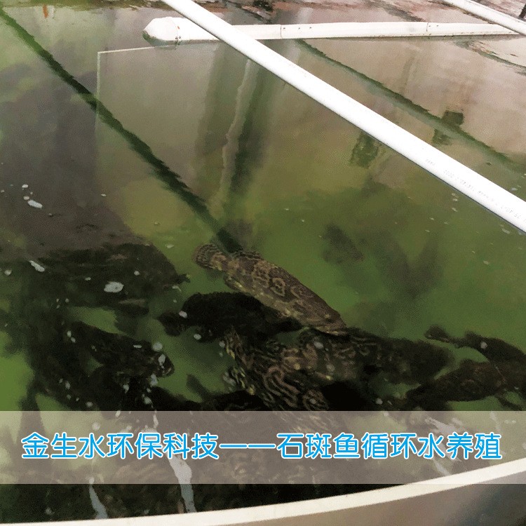 工厂化循环水养殖系统 养殖水处理 污水处理图3