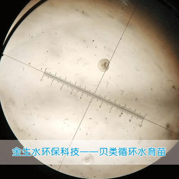 工厂化循环水养殖系统 养殖水处理 污水处理图4