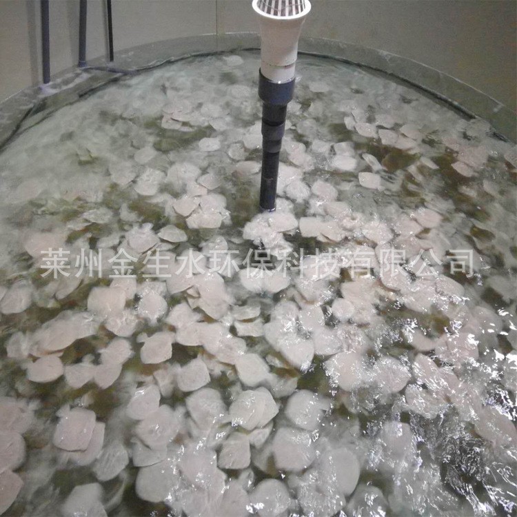 多宝鱼工厂化循环水无公害养殖 多宝鱼养殖图4