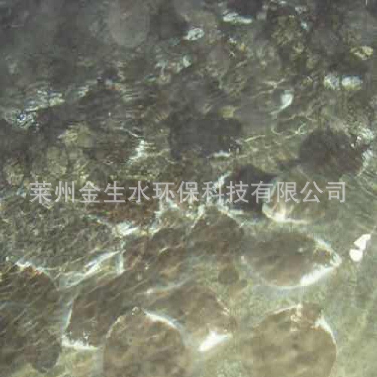 多宝鱼工厂化循环水无公害养殖 多宝鱼养殖图2