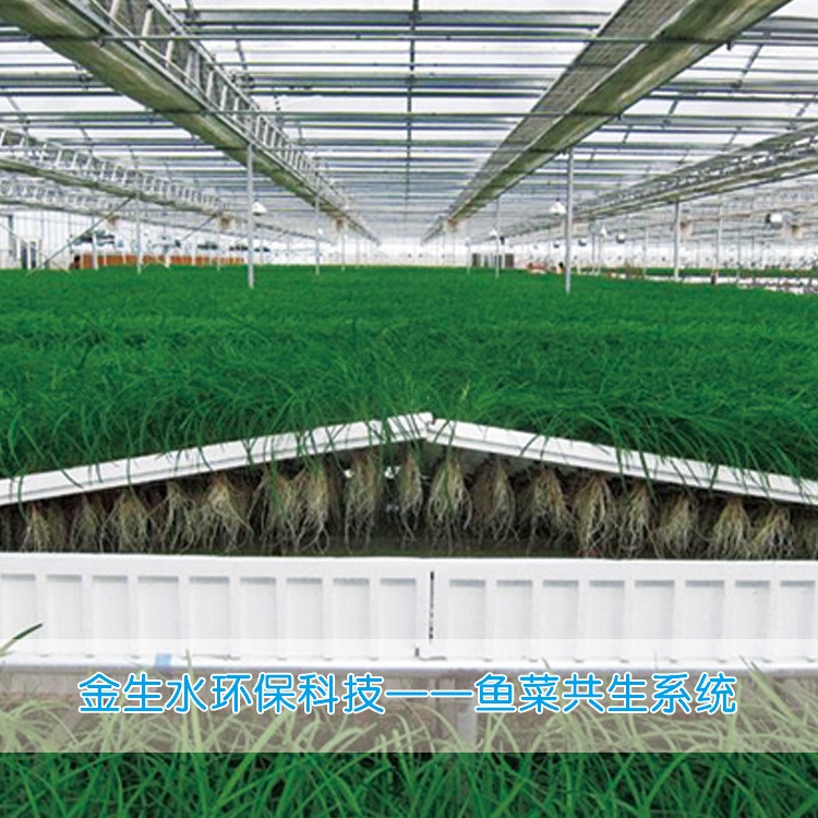 循环水养殖系统 鱼类育苗养殖系统 鱼菜共生系统
