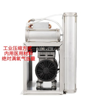 广州厂家现货工业10L制氧机高浓度分子筛吸氧机可出口氧气浓缩器