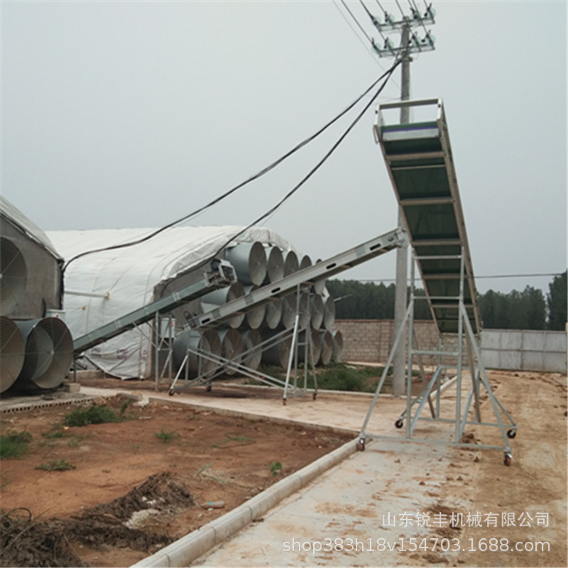 mmexport1629607059819_proc_副本.