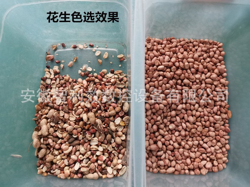 小型色选机 大米花生瓜子色选机花椒药材豆子筛选塑料选色机形选图4