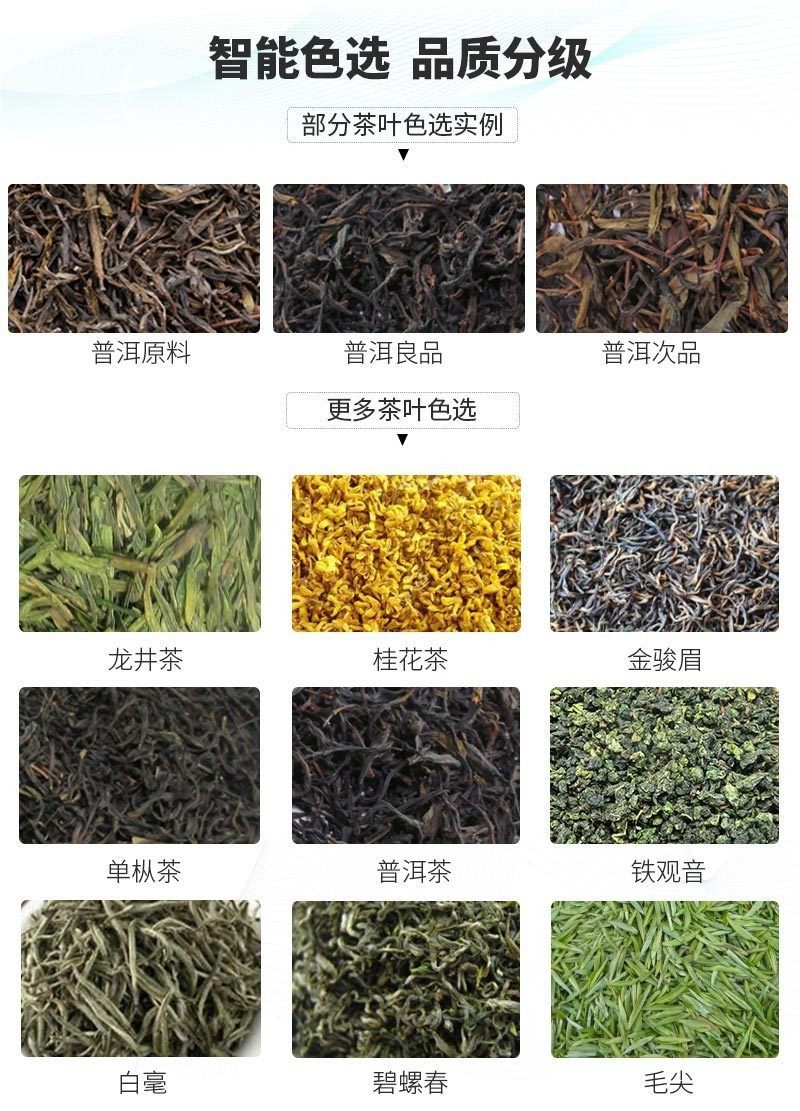 小型茶叶色选机绿茶红茶色选机白茶筛选设备风选去黄叶去梗拣茶机图3