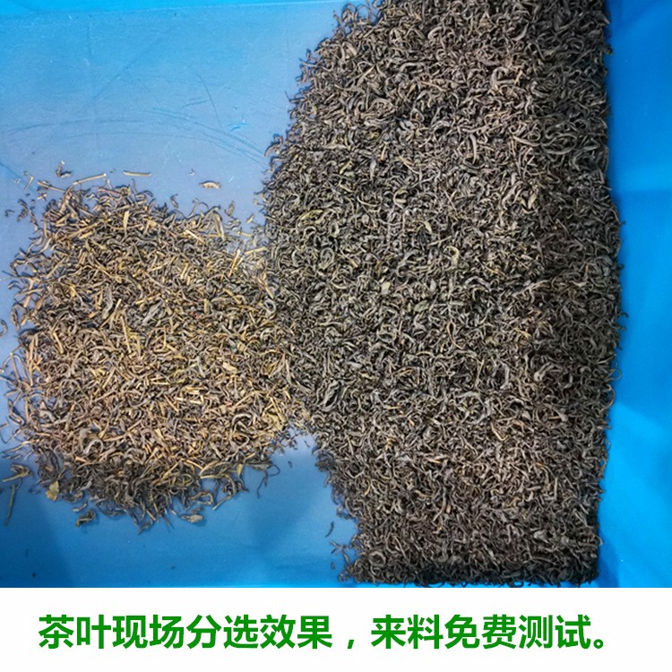 小型茶叶色选机绿茶红茶色选机白茶筛选设备风选去黄叶去梗拣茶机图4