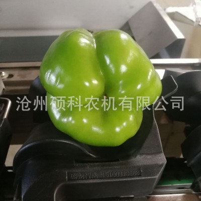 青椒分选机彩椒分级机菜椒分级机筛选机分拣机