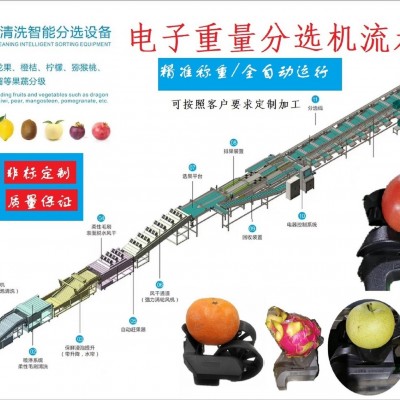 电子智能称重芒果分选机芒果分级机分拣机克重分选机