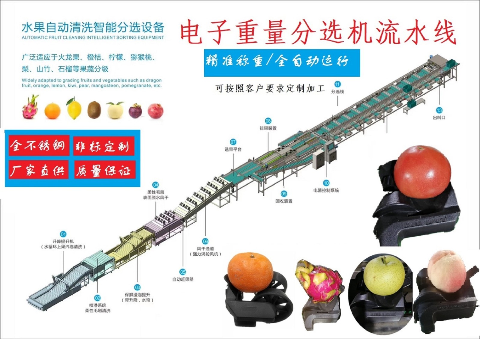 电子智能称重芒果分选机芒果分级机分拣机克重分选机图5