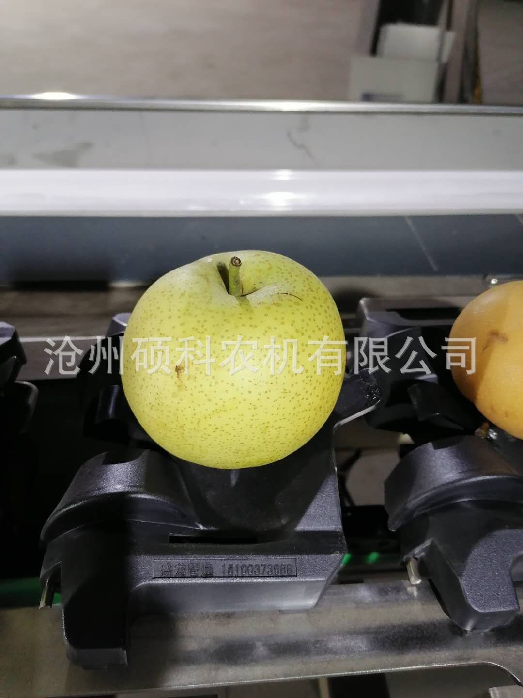 电子称重克重柠檬分级机 分选机小型筛选机水果分选机