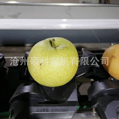 电子称重克重柠檬分级机 分选机小型筛选机水果分选机