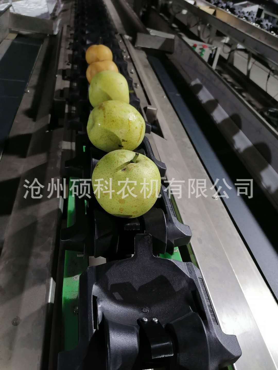 电子称重克重柠檬分级机 分选机小型筛选机水果分选机图2