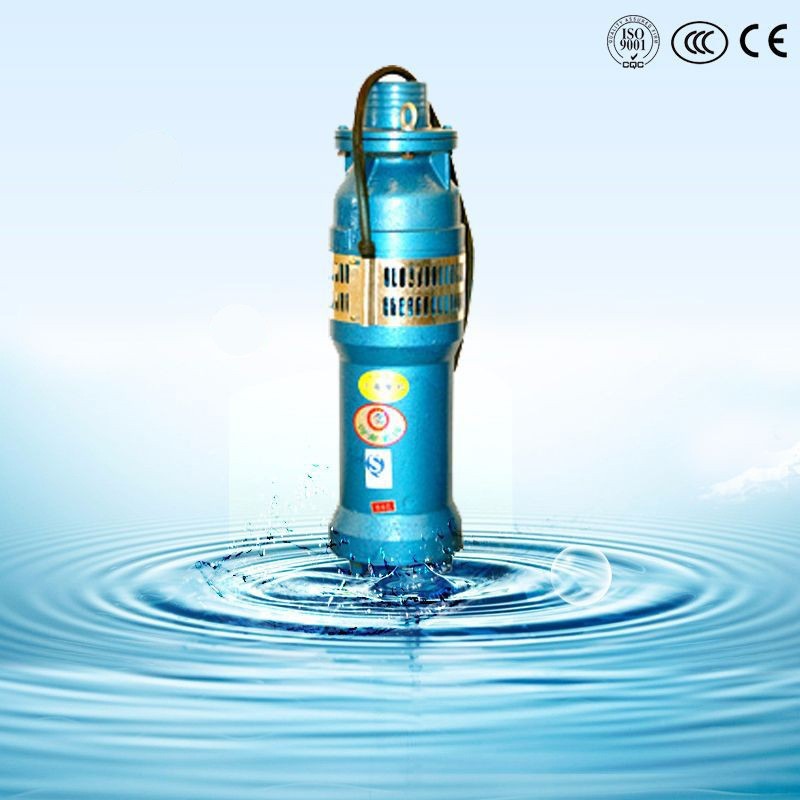 神龙大流量高扬程QS深井潜水泵水浸式观景井用农用喷泉潜水泵380V图2