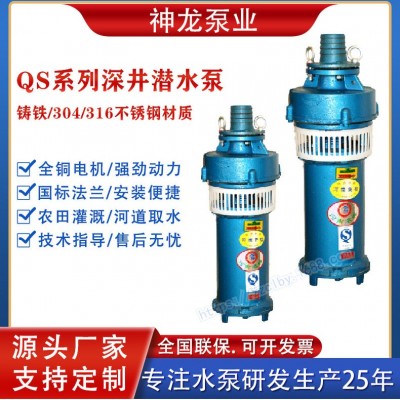 神龙大流量高扬程QS深井潜水泵水浸式观景井用农用喷泉潜水泵380V