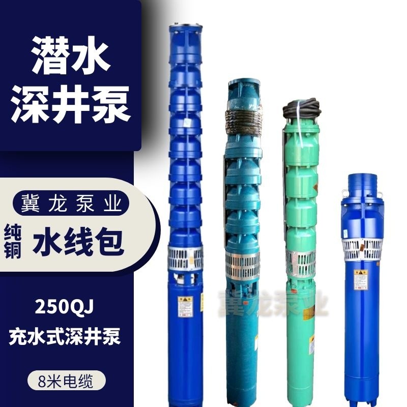 冀龙水泵qj深井泵高压潜水泵220v家用抽水泵农田灌溉喷淋泵图4