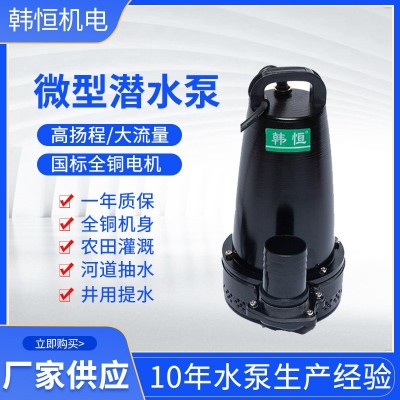 微型潜水排污泵电瓶车接电家用直流抽水泵单吸手提立式灌溉抽水泵