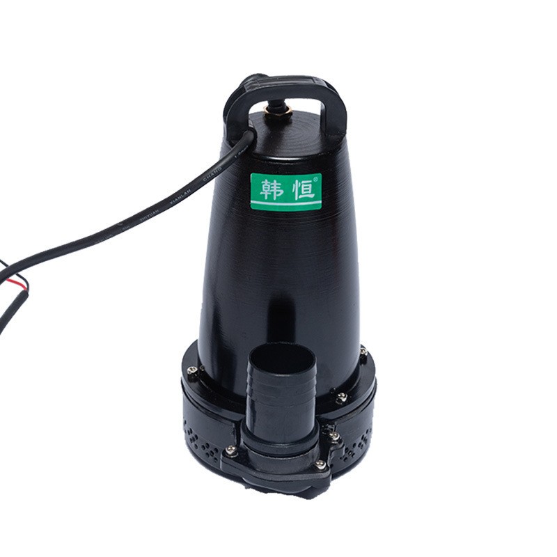 微型潜水排污泵电瓶车接电家用直流抽水泵单吸手提立式灌溉抽水泵图5