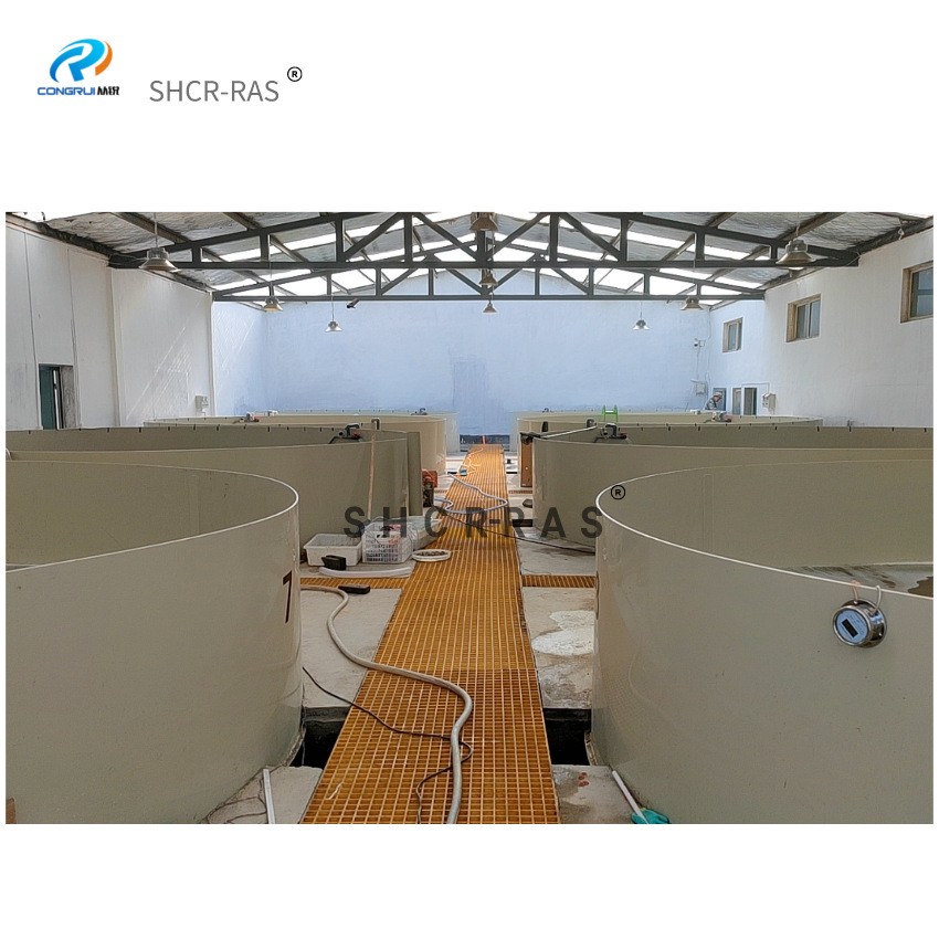 从锐厂家室内循环水高密度水产养殖用pp鱼池多规格pp鱼池加工图3