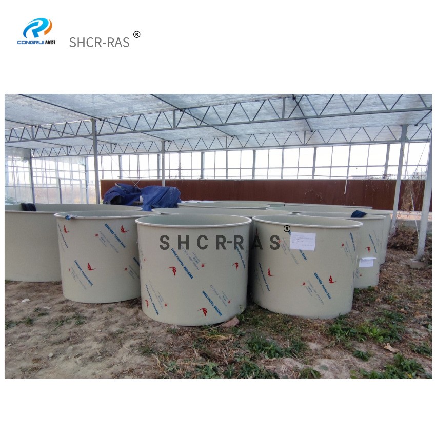 从锐厂家室内循环水高密度水产养殖用pp鱼池多规格pp鱼池加工图4