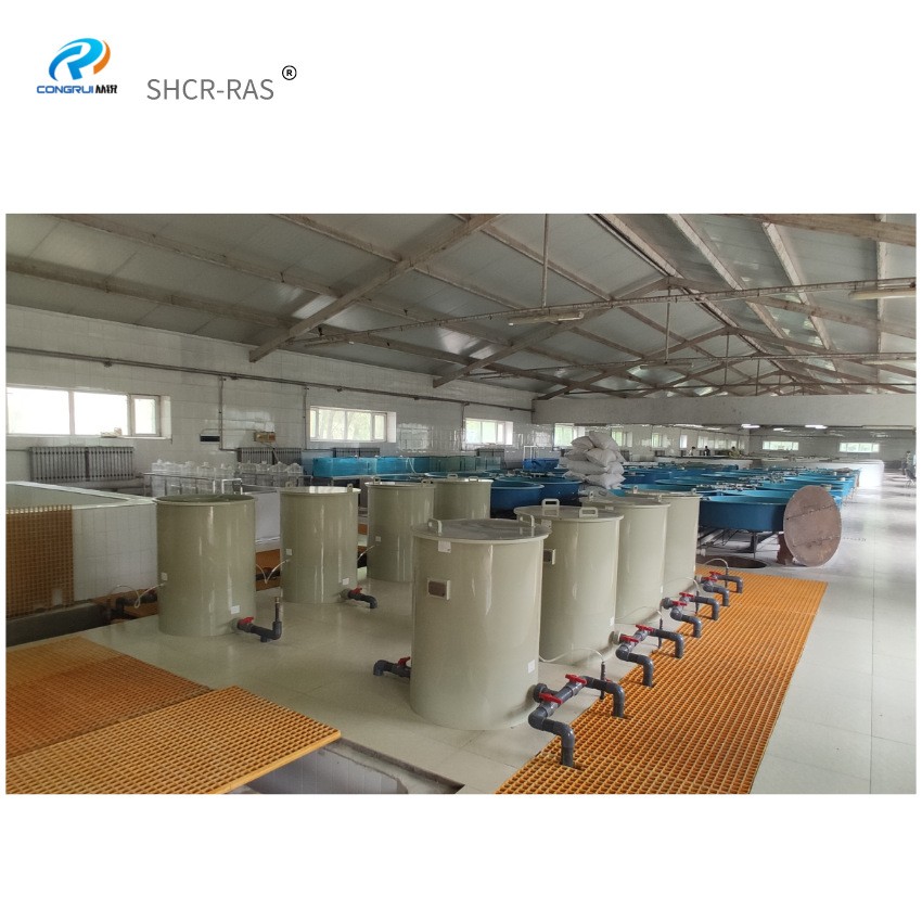 从锐厂家室内循环水高密度水产养殖用pp鱼池多规格pp鱼池加工图5