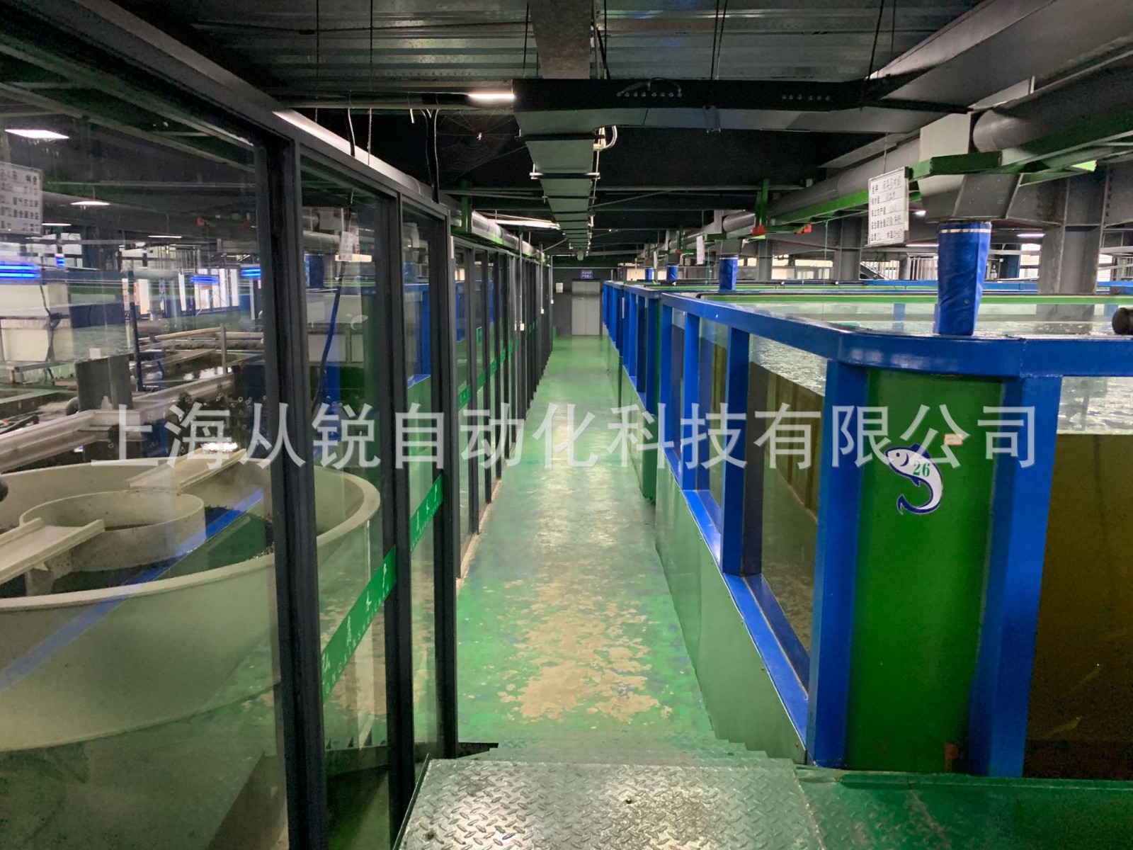 从锐新设计小型室内垂钓虾循环水恒温增氧水处理在线管理系统设备图5