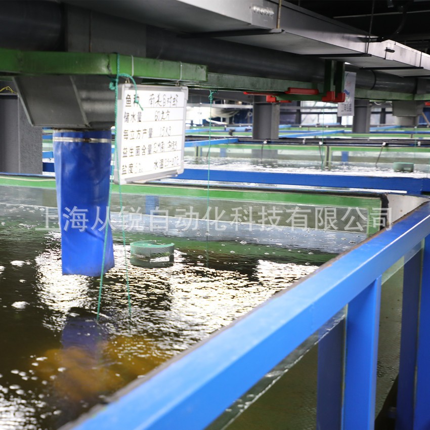 从锐新设计小型室内垂钓虾循环水恒温增氧水处理在线管理系统设备图3