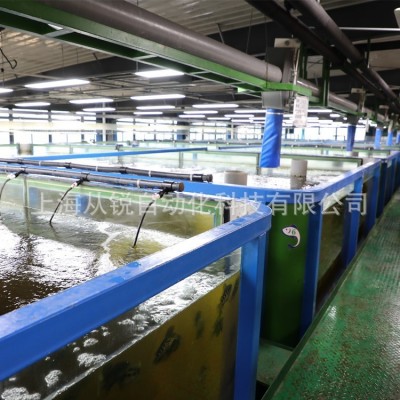 从锐新设计小型室内垂钓虾循环水恒温增氧水处理在线管理系统设备