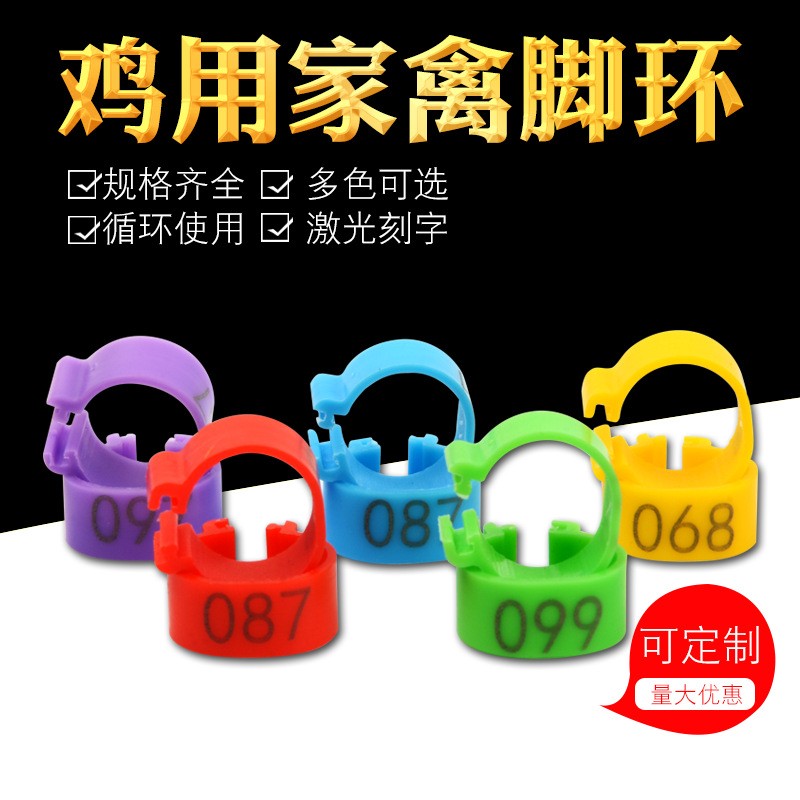 养殖家禽专用开放式卡扣鸡鸭鹅卡扣式激光刻字脚环激光刻字鸡脚环图4