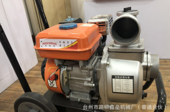 手推式农用汽油机抽水泵 灌溉泵排污泵自吸泵图5