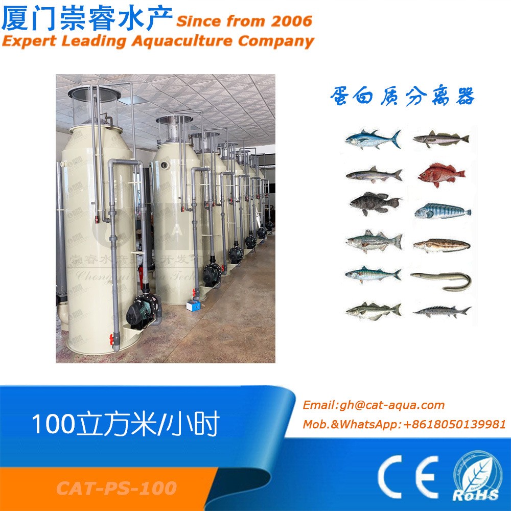 大型工厂循环水处理设备 蛋白质分离器 蛋白质除沫器图3