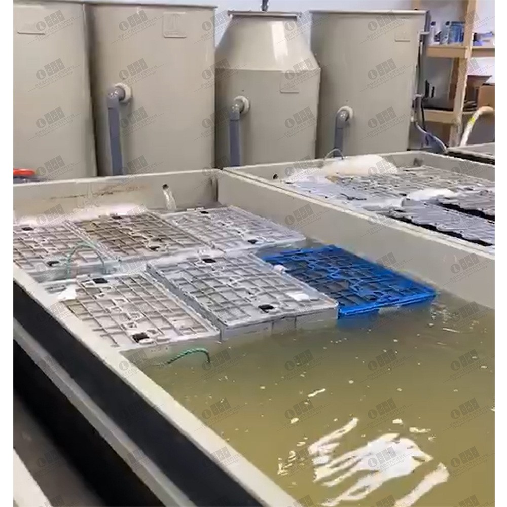 加拿大工厂化室内循环水龙虾低温暂养项目循环水产养殖水处理设备图2