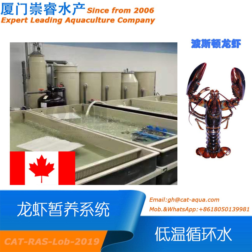 加拿大工厂化室内循环水龙虾低温暂养项目循环水产养殖水处理设备