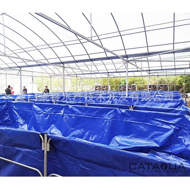 江苏项目澳洲淡水龙虾工厂化高密度水产养殖循环水系统图4