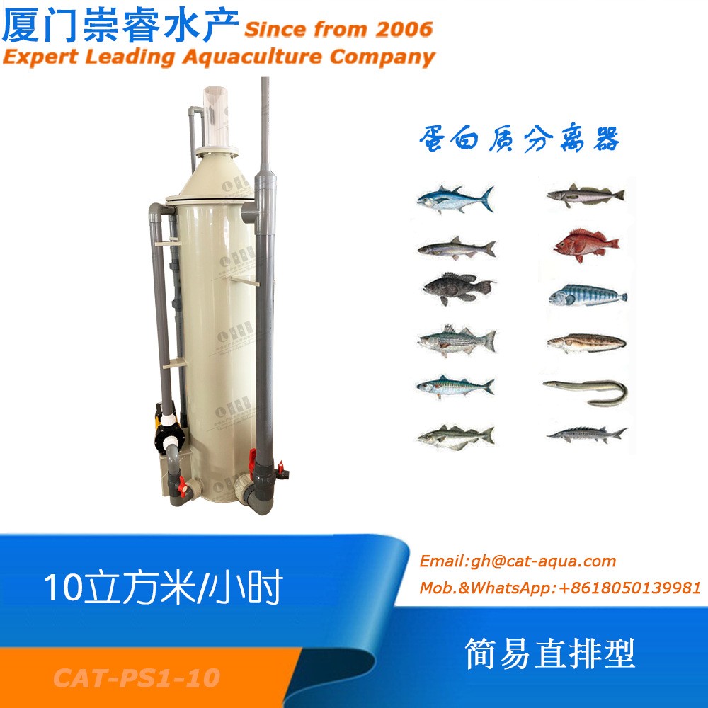 直排型蛋白质分离器工厂化水产养殖海淡水蛋分化氮器