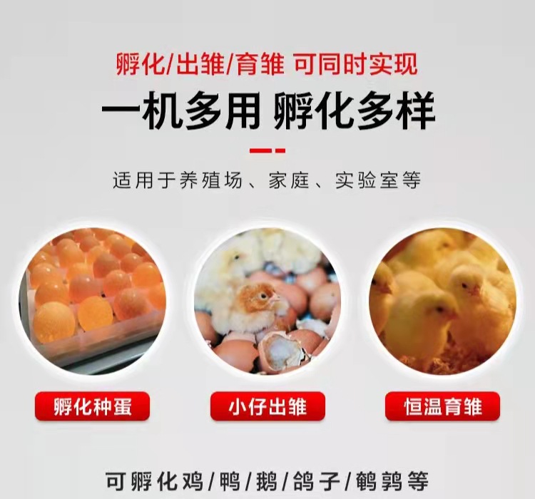 微信图片_20211127120124