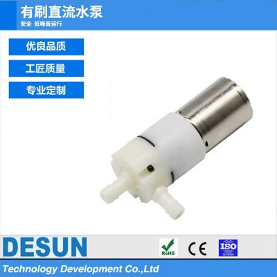 DS微型水泵 有刷直流水泵果汁自吸泵食品级